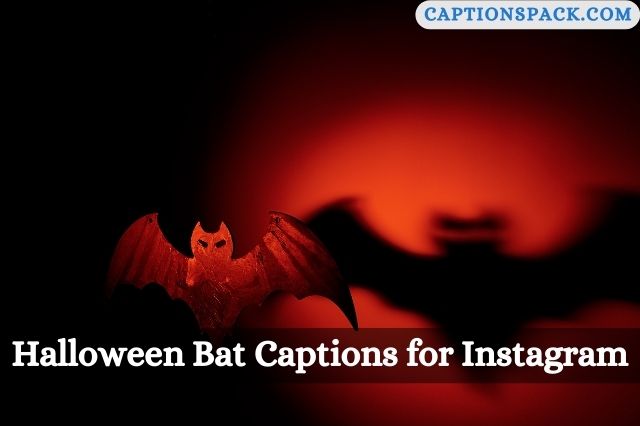 Halloween Bat Captions for Instagram