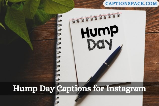 Hump Day Captions for Instagram