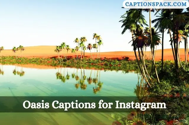 Oasis Captions for Instagram