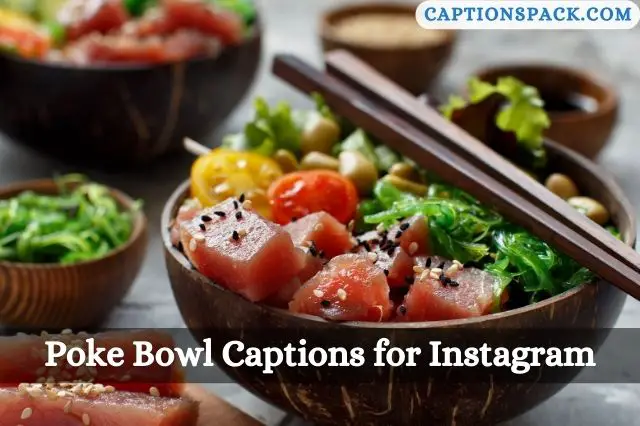 Poke Bowl Captions for Instagram