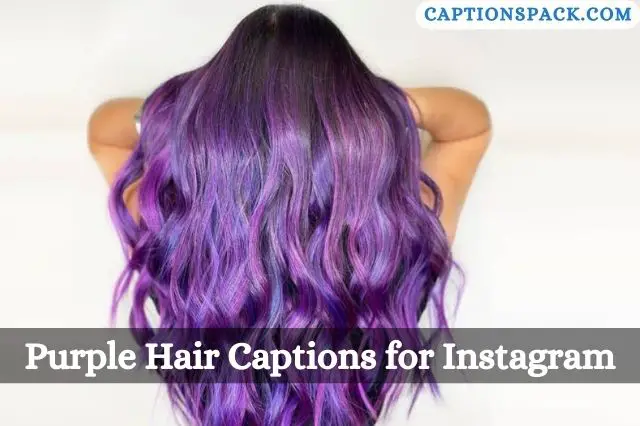 Purple Hair Captions for Instagram