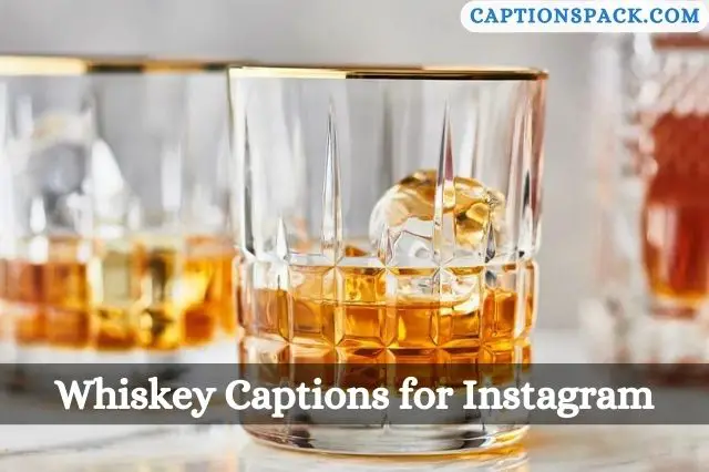 Whiskey Captions for Instagram
