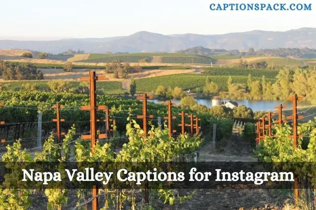 Napa Valley Captions for Instagram